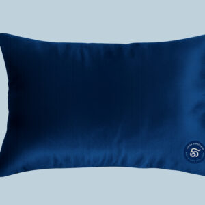 On the Go Pillow